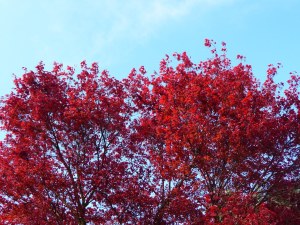 change your attitude or relax with things the way they are